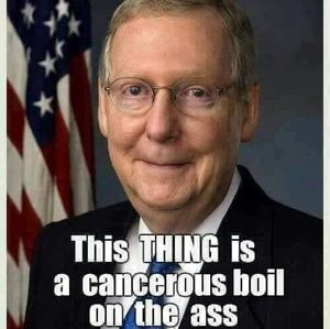 Meet your Posher, Efrain